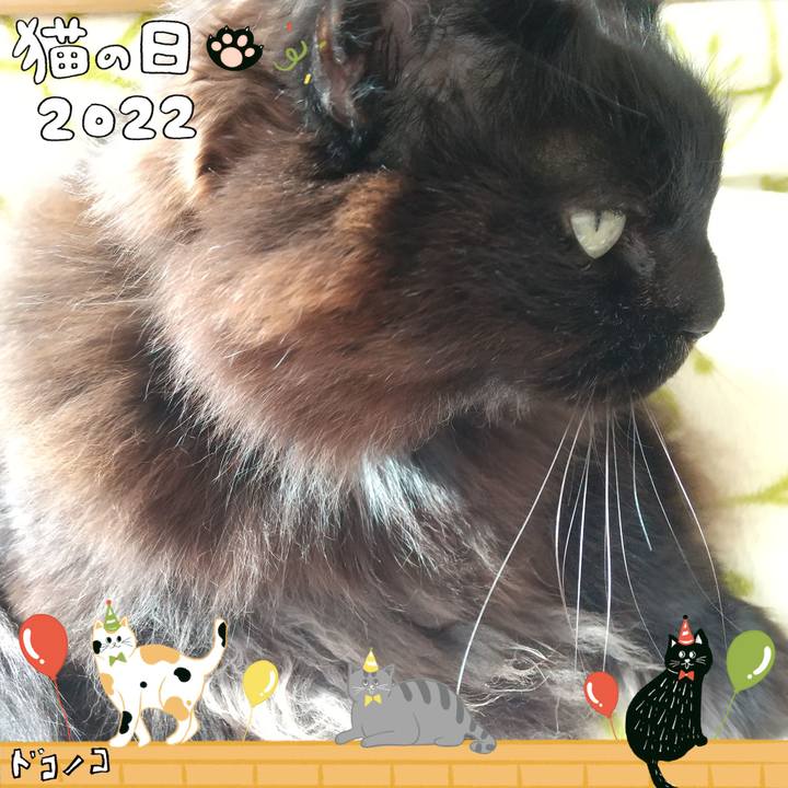 096bd6ac d01e 4239 8d2a b60711b9f6c0 1645505333105