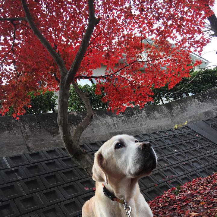 096be7e2 8871 45a9 8a7d 072a68433797 1553091151753