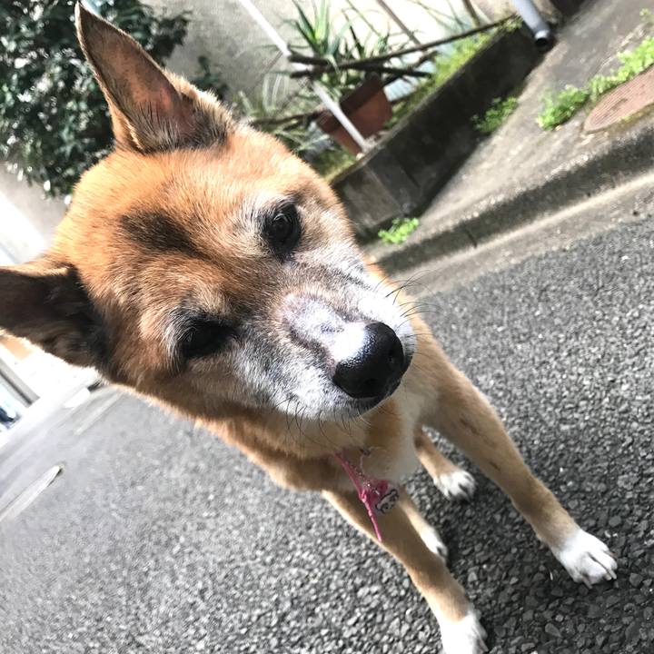 096bfb6a 54b8 4fb1 ab9a dc74d2b6f24d 1551048275587