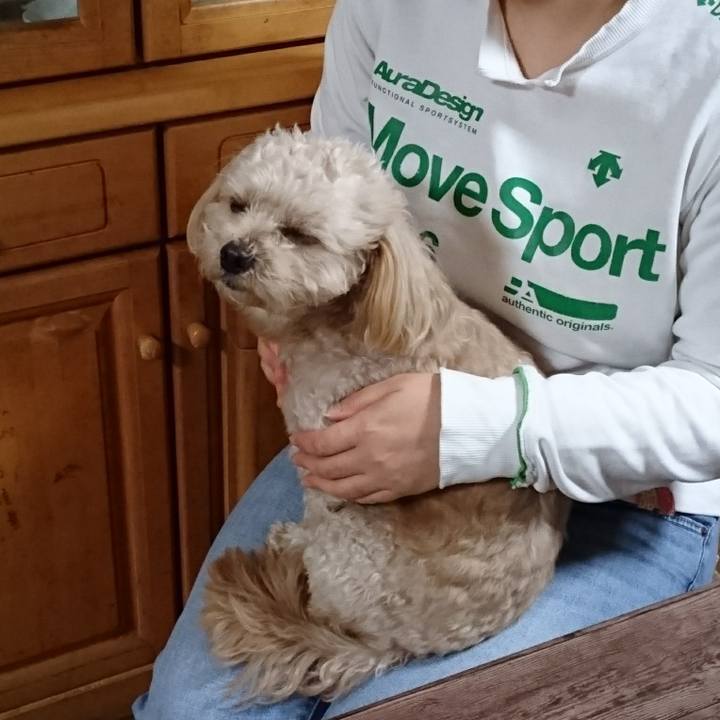 096bfdfb 3d1b 47c3 ba85 09b966415e40 1542967129361