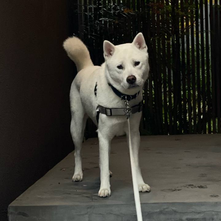 096c48a3 f010 43d2 b12c 2589302d4cf8 1638489861180