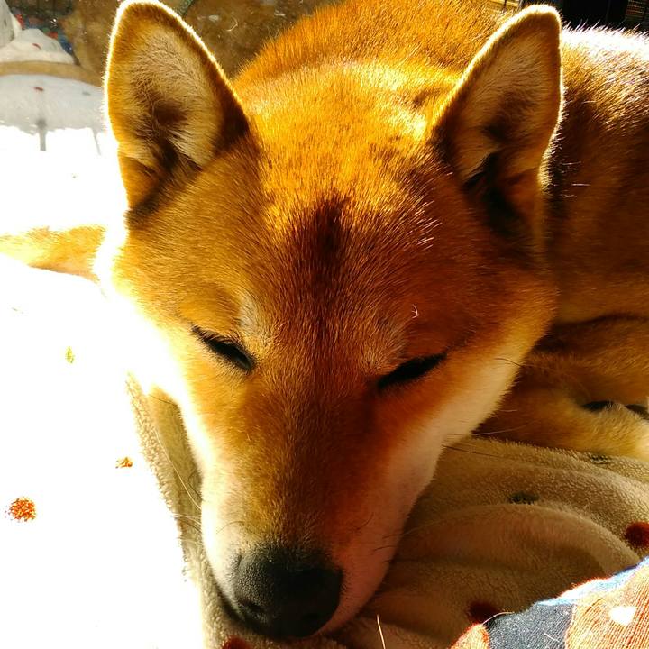 096c8cd0 b359 43d6 a953 2dd0312066d3 1518496060628