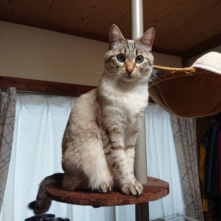 096c8d5d b794 4d3d 8737 1852d44d3a59 1583649511472