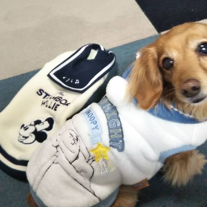 096caf58 21e2 4f27 8d59 29c431767359 1608886927988