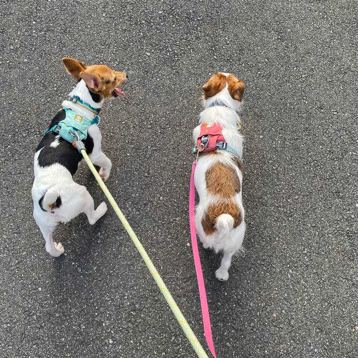 096cb43f 199a 426c a3cf 25b33b3528f0 1751633493631