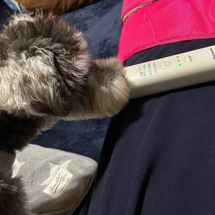 096ce551 11f8 4a5f 9fdf f356a89f0087 1577295598132