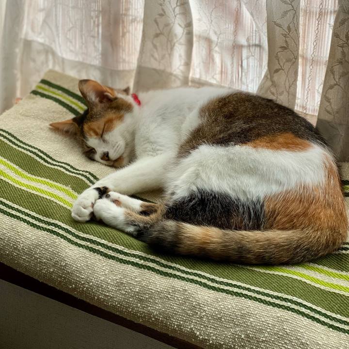 096cf520 b324 415b b81b 9d0cb2b32084 1632961376156