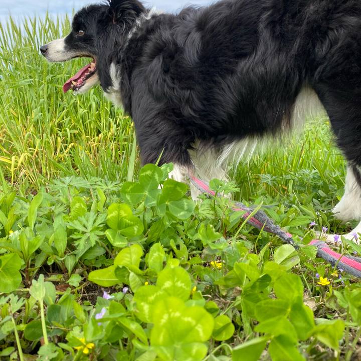 096d3061 00f4 4ab0 88f3 eeadd0b17dbc 1712454156738