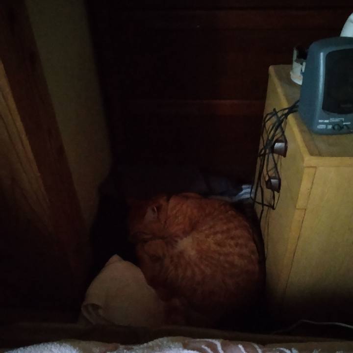 096d4612 3604 44ce 8071 327219488f01 1694037817874