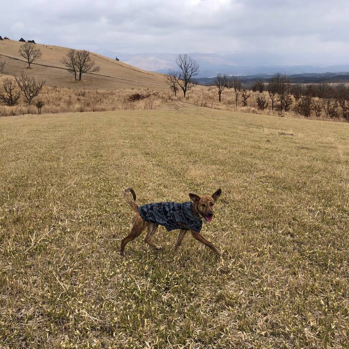 096d512e 52fc 4087 838a a970b957c1d0 1581236973807