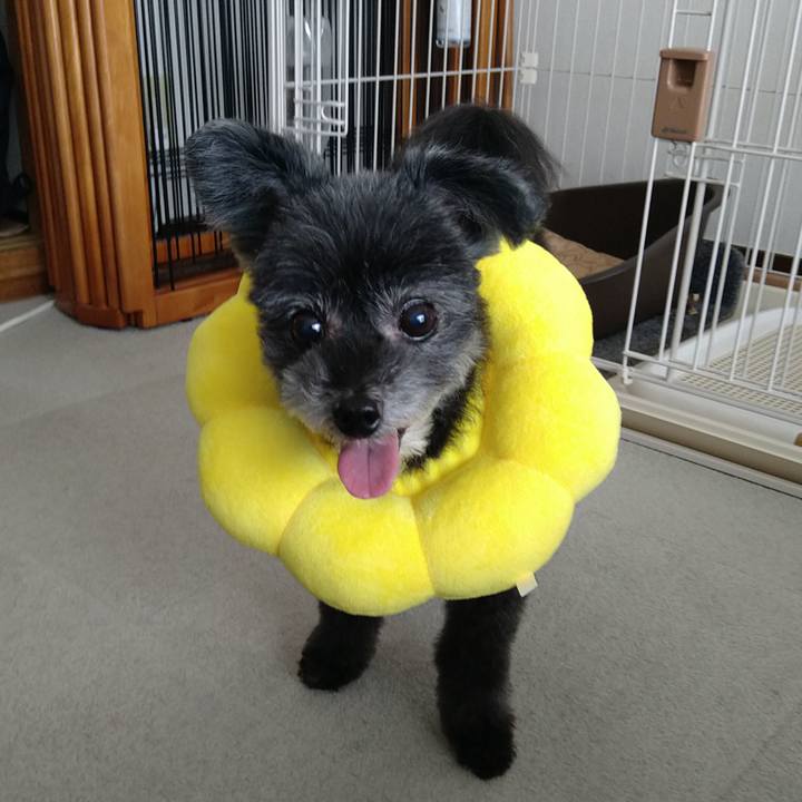 096d5889 fd78 4b83 8fe7 86d8d28777f2 1721531768836