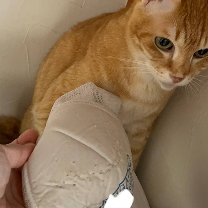 096d7a15 4335 4731 bd49 3a8bd19a0d9e 1687213650360