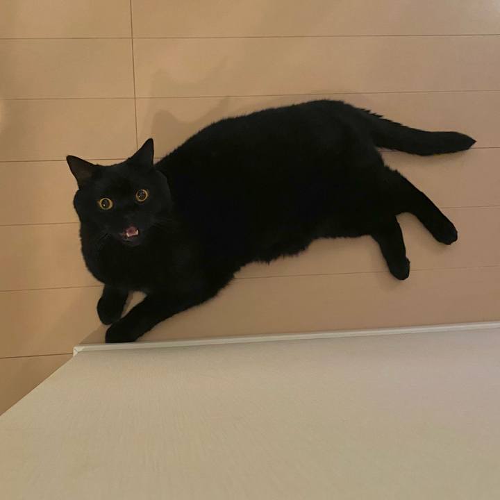 096d8cd6 b04a 4c2b b192 87ba06a150a4 1731412716007