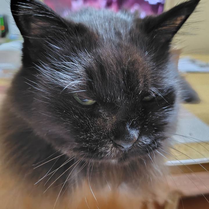 096dc250 ba3d 4f24 8b10 66237fe396bd 1731412001386