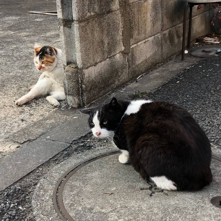 096dcbce f77e 4ab2 ab4d e2cecf1fc3ff 1519127892964