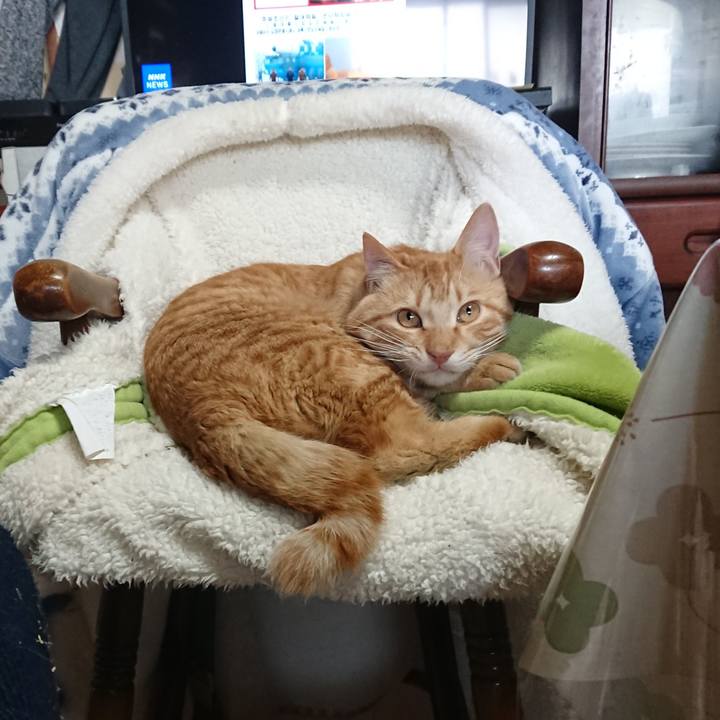 096df29e 81c0 416c b84a 880e9218e1b2 1648192030238