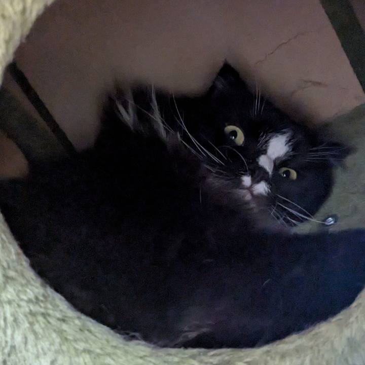 096e0347 ed88 4337 a404 ff93639617f9 1753960060724