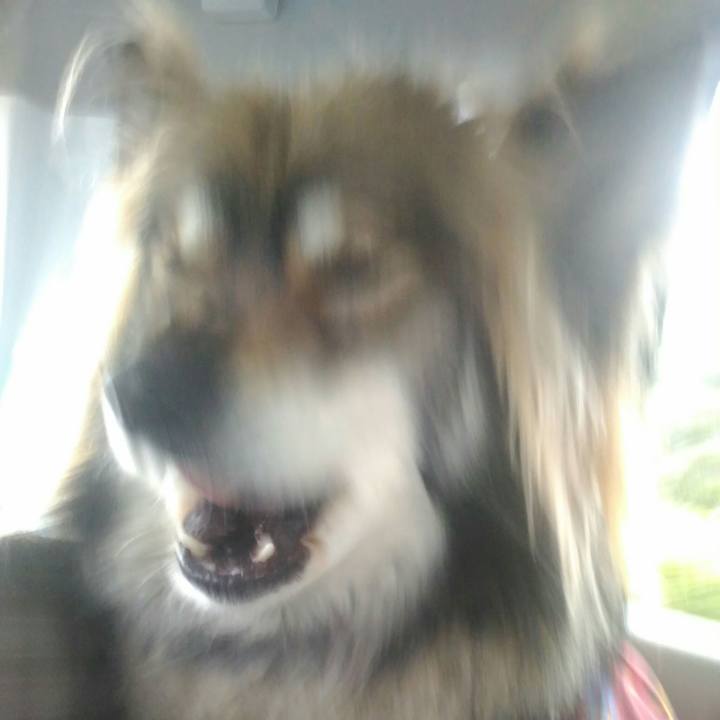 096e2cb5 3035 4549 a297 44b75cdf5d22 1524030249254