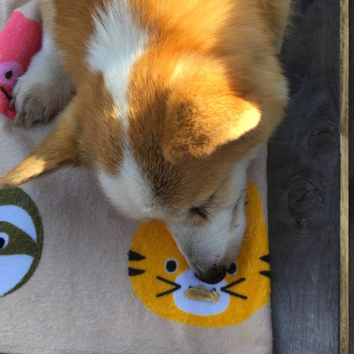 096e3373 467e 4b9f a79d aab5c2f919dc 1550715716799