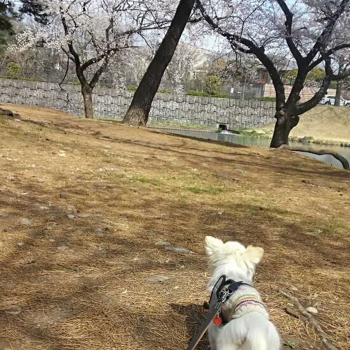 096e6f5d 1c0f 4e0c b488 319d79103515 1522125894112