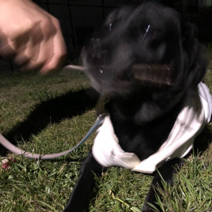 096e8983 837e 4e0f bea2 13624afe6ced 1568553244952