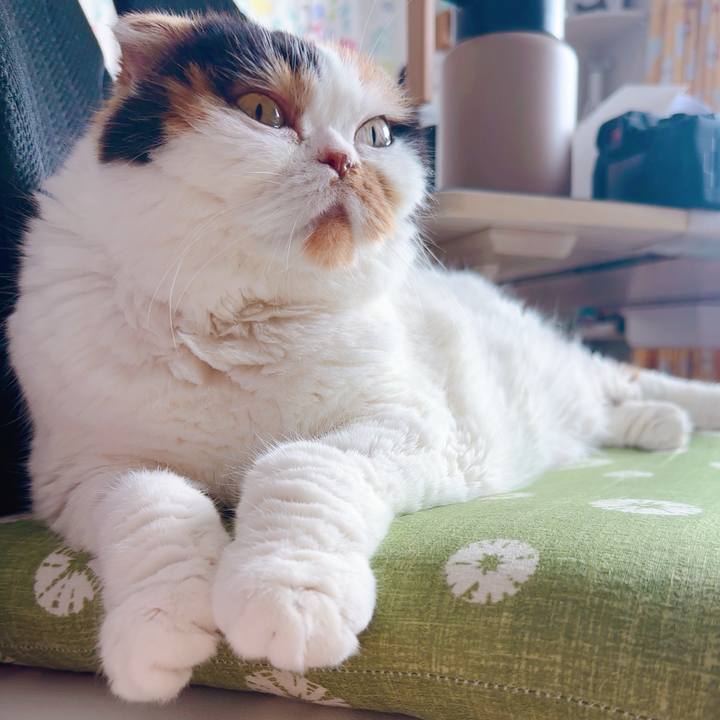 096eae9f 602d 413b 86da 593c9d566a8e 1736721401190