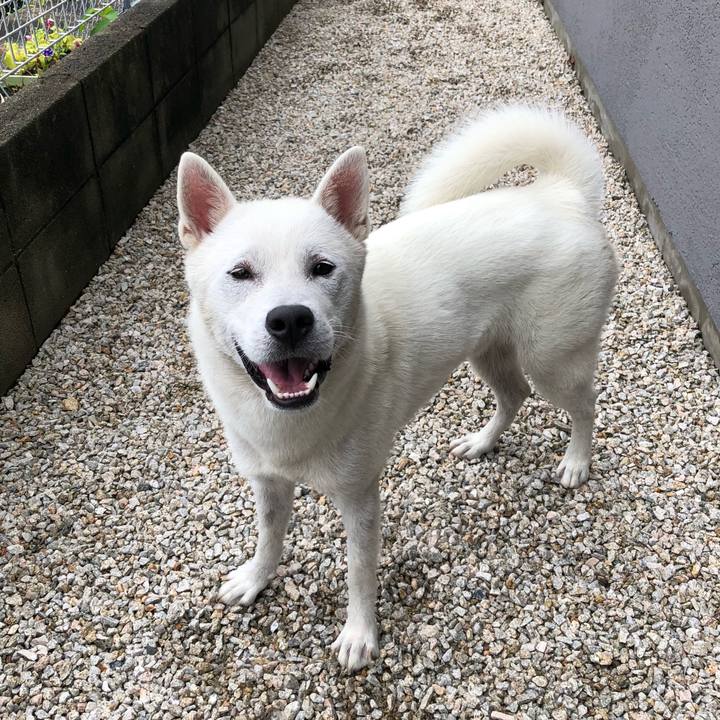 096ef3d4 5cf3 488e 8684 298db79b34c4 1531012700980