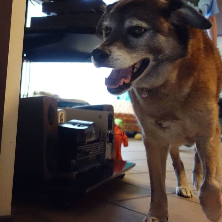 096f002a 8a95 4151 9324 6681e0055e7b 1561165553905