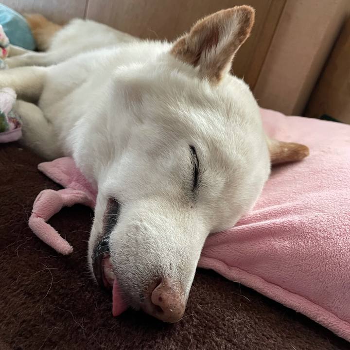 096f2982 cfc6 48f9 a293 42cfc53ff72e 1638776914563