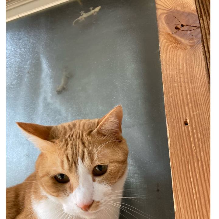 096f34da 51b5 4661 a297 2b5301f7d5ce 1684229589361