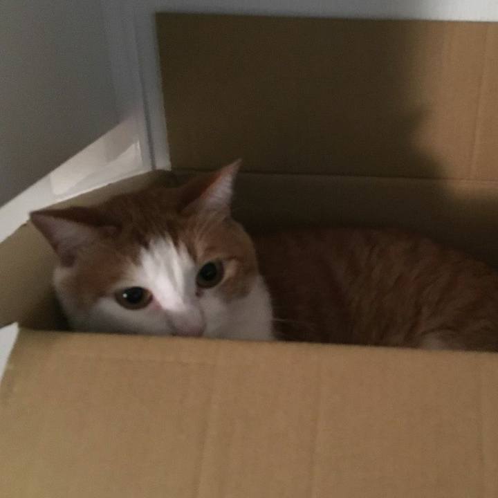 096f6650 3588 4053 b973 fe76b5e1c11e 1535244708078