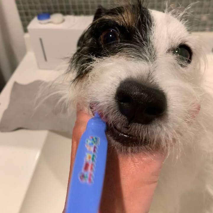 096f8da3 26cc 4860 b550 dca36dd124b2 1666788345704