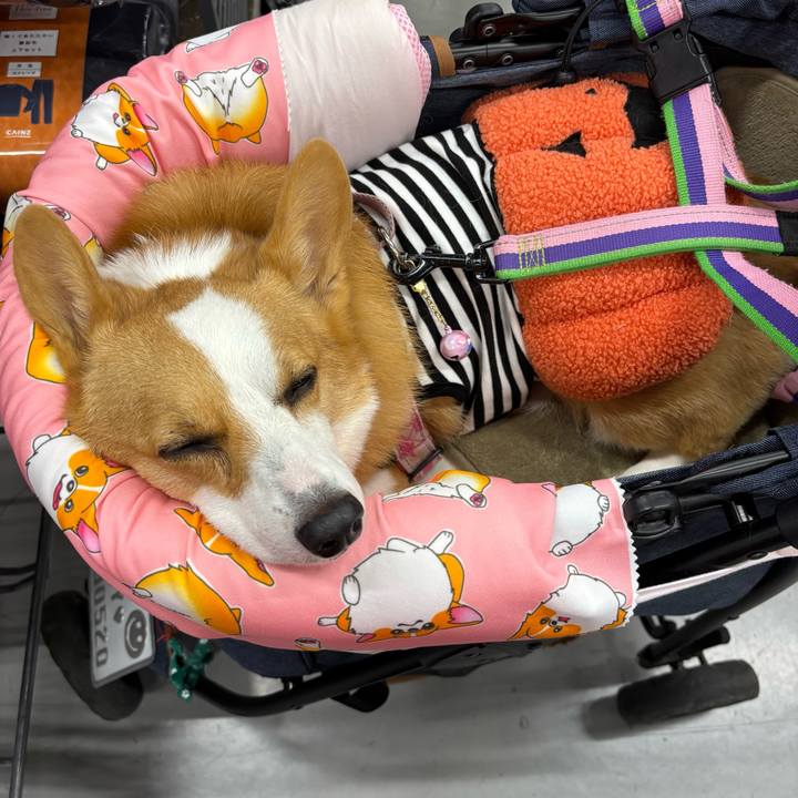 096fa7aa 3cd7 4a8b a9d3 c026c31ce260 1761467102202