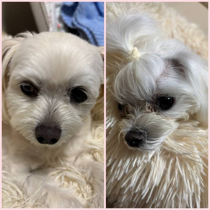 096fc446 2ef2 4553 9a20 7c665b7ebdbd 1747647689958