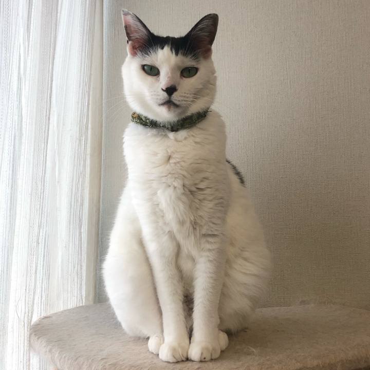 096fd10a c921 4eb3 8850 e4edbabab7dc 1568610401709