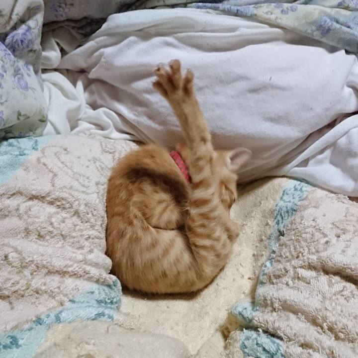 09702ba3 7c6d 4fa4 96c9 a12d14165400 1632140482369