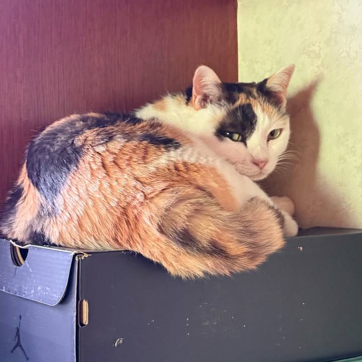 09703149 cfd5 48ab b47f 6a875ff76467 1753663735222