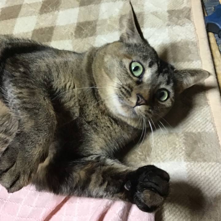 09707ee1 a74d 44a7 acfa faa7fdca9a7e 1643015806541