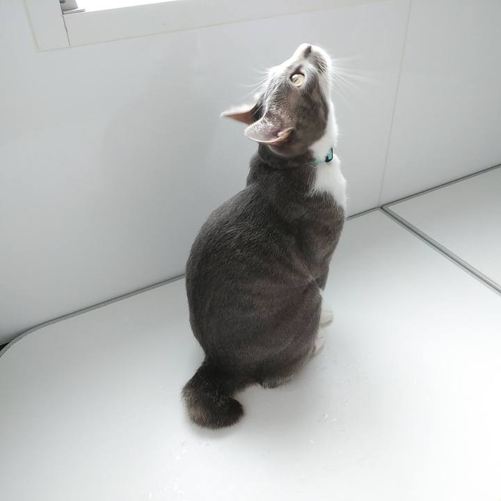 0970a190 f74b 4057 8b7c b4d77ad60c37 1593817575181