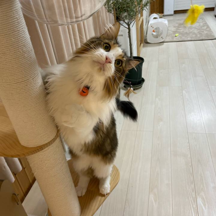 0970d751 7f53 4799 8fa9 9e688643762f 1698175047812