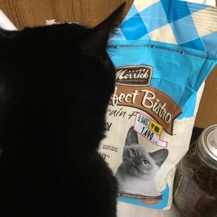 09712997 68c0 4150 9876 e83bcd3609f3 1507890224161