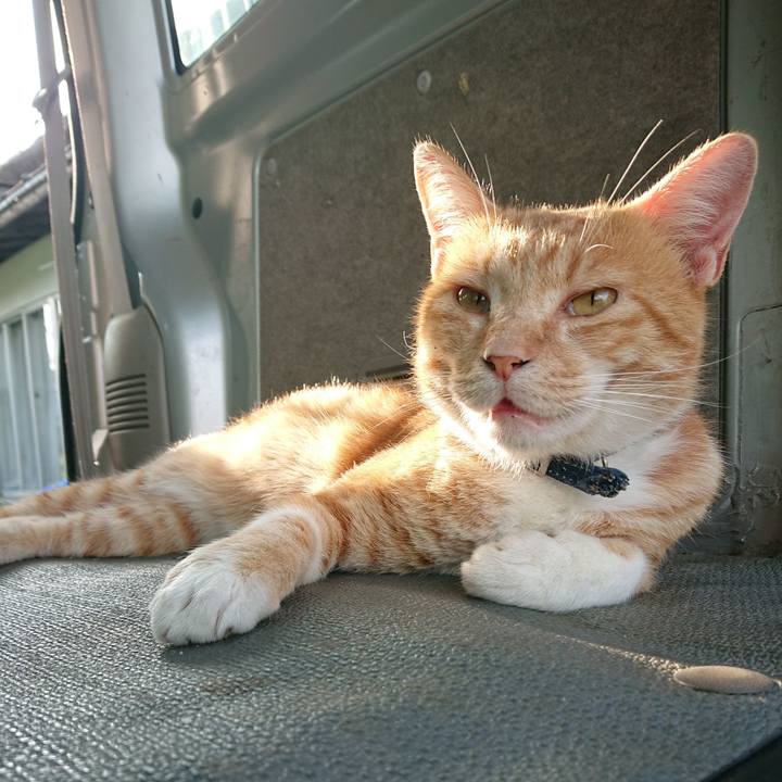 097140ec 82a5 4deb 81fe 11f3d5ae39fa 1565509005274