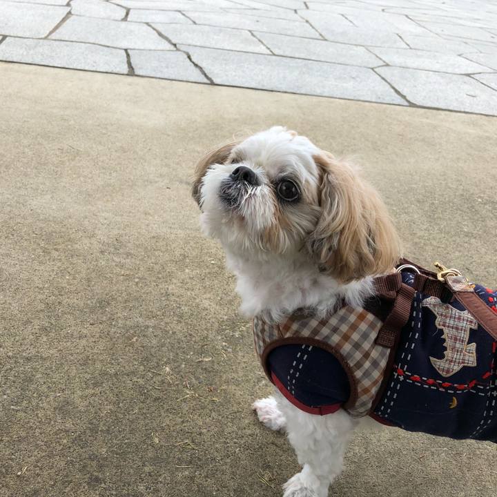 097157fa 301a 467b a5b4 97d3cc832006 1538430142521