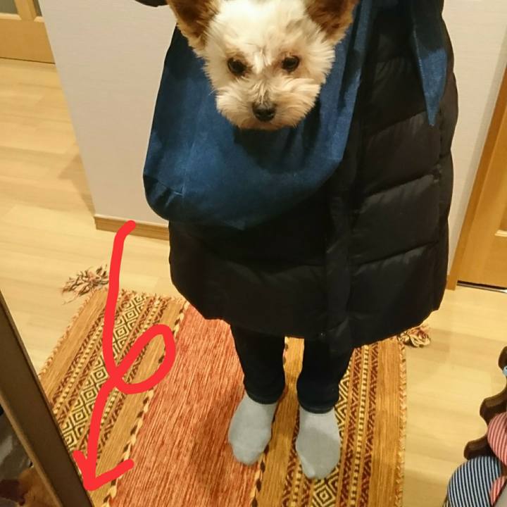 097173cc 02a3 4b71 80fd b6bfbcb4b037 1513770535855