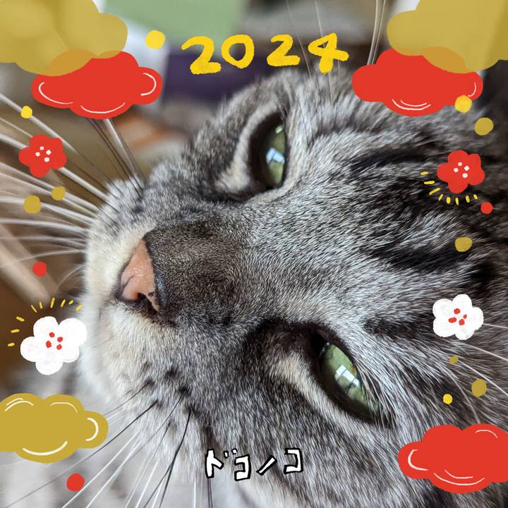 097188aa 4257 4801 b870 c205dd973a38 1704110364278