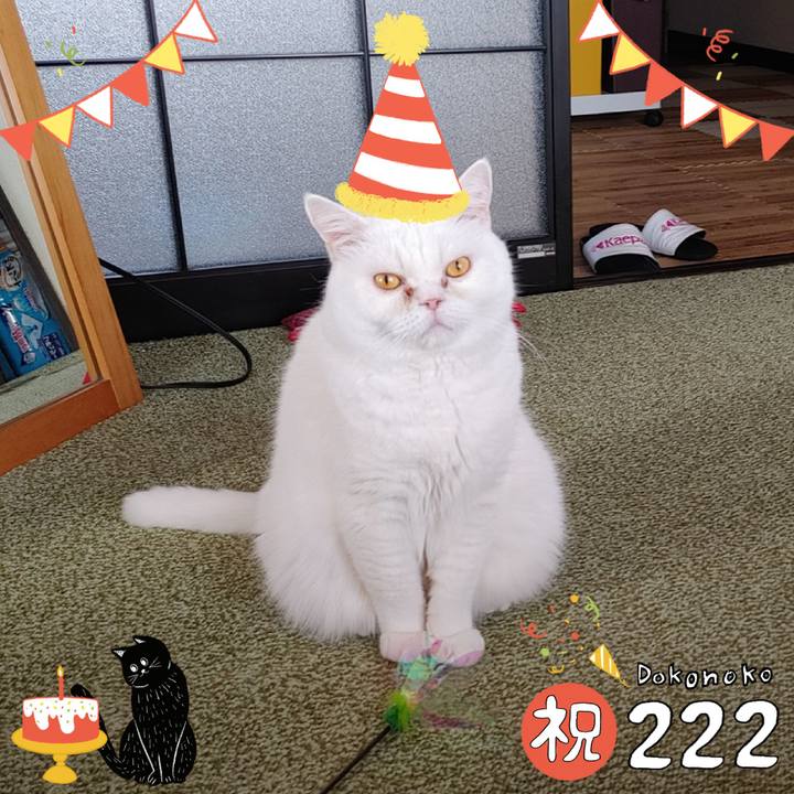 0971c49f 55b7 4d51 9325 a08e3f1ebeab 1645501572302