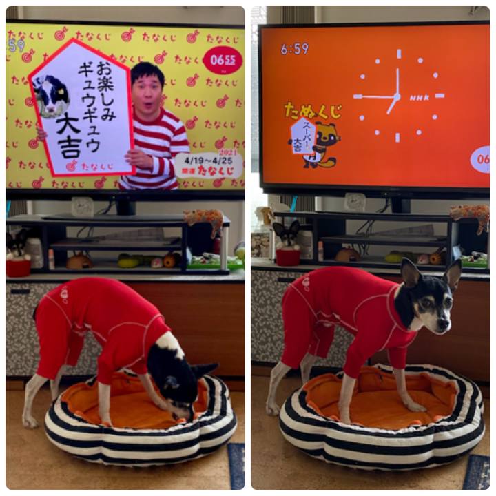 0971e0e0 b063 4fdb 92f1 7618796573dc 1618786787312