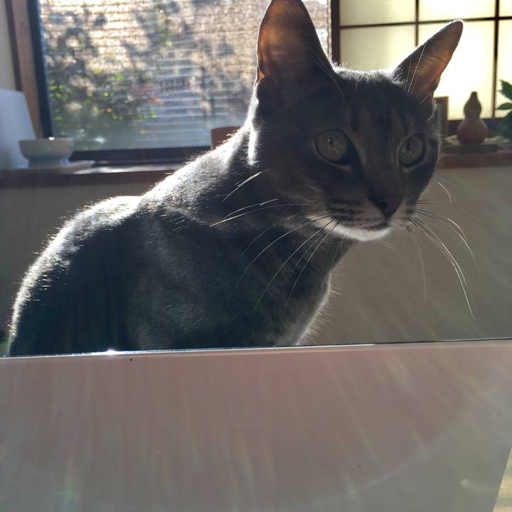 0971e334 259f 418d 8a99 885eaa2e2fc0 1512261961334