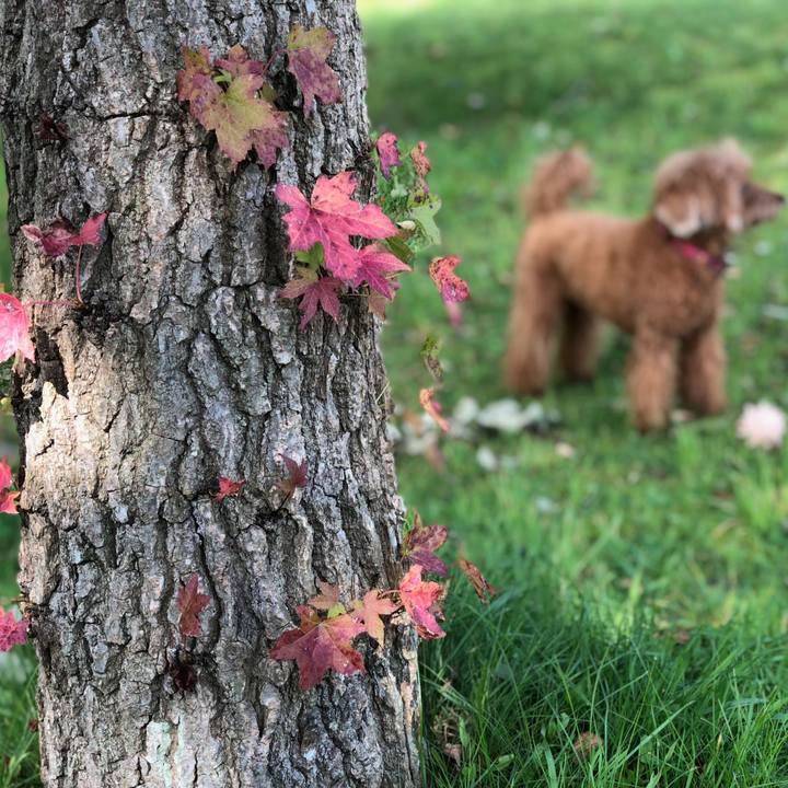 0971eefa d86a 4721 9f07 2291451703ee 1538532696112