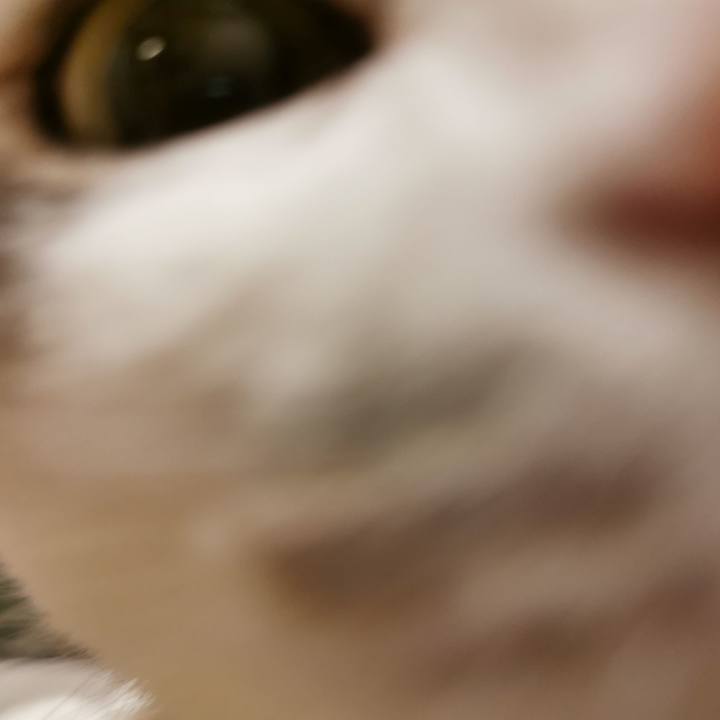 09720980 af0b 412f bff5 3c1dd8be2da7 1674965465645